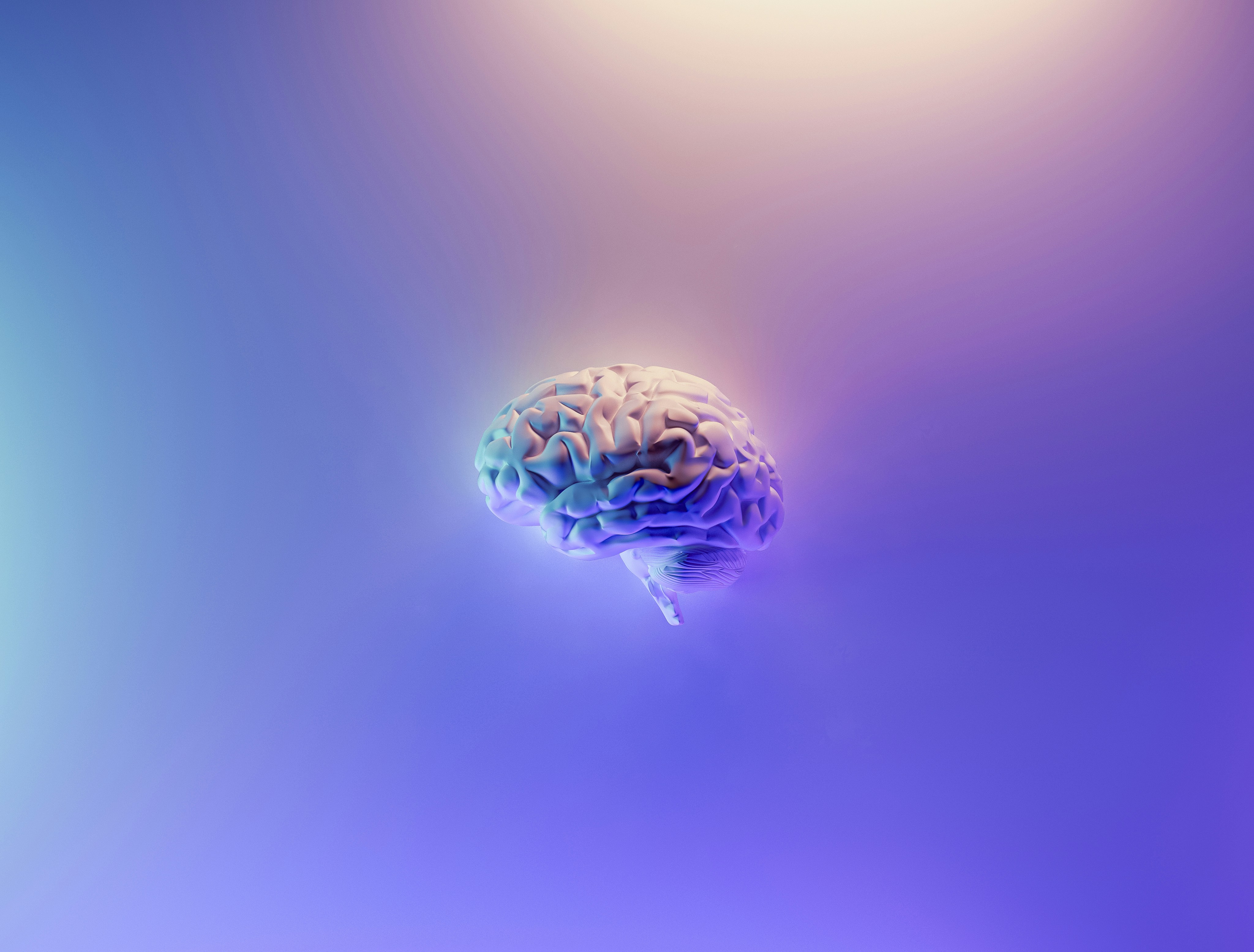 Neural Interface